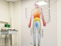 Lamina panel in Belfast City Hospital Dermatome Man