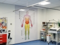 Belfast City Hospital Dermatome Man Lamina panel