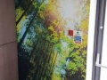 Digitally print in Belfast Royal Victoria Hospital wall graphic with easy clean finish